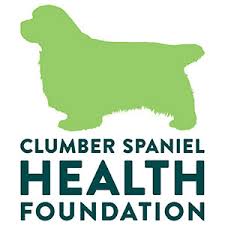 We did not find results for: In Memoriam Clumber Spaniel Health Foundation