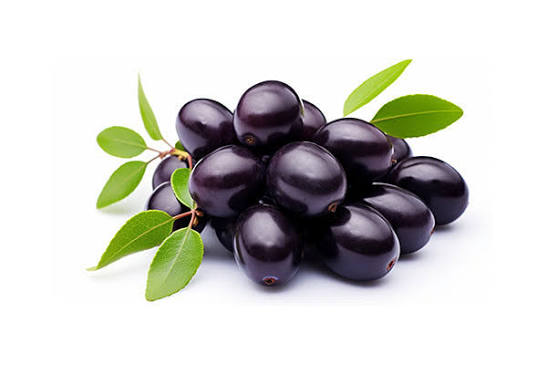 Jamun (Syzygium cumini) Benefits | Ayurveda for Diabetes & Health
