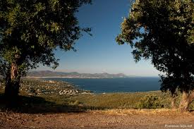 No need to register, buy now! Departement Var Provence Info Net