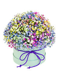 Купить цветы в шляпных коробках недорого с бесплатной доставкой в Москве -  Flower-shop.ru