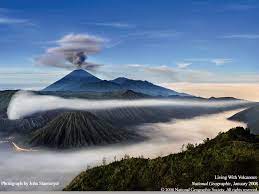 Terlihat pohon sakura yang sedang berbung. Gambar Pemandangan Gunung Indonesia Gambar Gunung Bromo Flickr