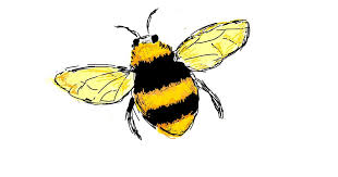 Drawing Bee Including transparent png clip art, cartoon, icon, logo, silhouette, watercolors, outlines, etc. drawing bee