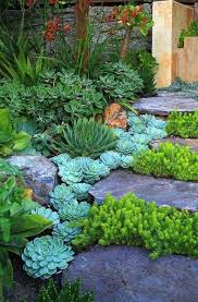 25 Catchy Outdoor Succulent Garden Ideas Digsdigs Do you have some favorite front yard landscaping tips to share?