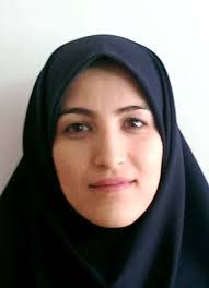 A Topology and Design Optimization Method for Wideband Piezoelectric Wind  Energy Harvesters