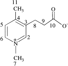 Image result for Discopodium penninervium