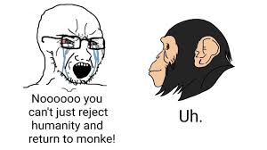 Reject humanity and monke, become mould. Monke Memes Reject Humanity Return To Monkey Youtube