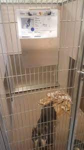 Maybe you would like to learn more about one of these? Merced County Animal Control 66 Photos 32 Reviews Animal Shelters 2150 Shuttle Dr Atwater Ca United States Phone Number