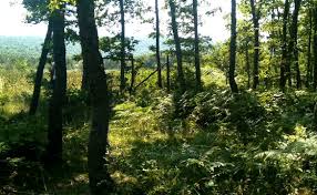 We did not find results for: Kunduz Yaylasi Kamp Alani Samsun Kamp Yerleri Kamprota Com