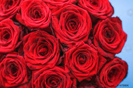 Per te la consegna a domicilio è gratuita. Fioritura Di Rosa Fiori E San Valentino Giorno Presente Concetto Foto D Archivio Crushpixel