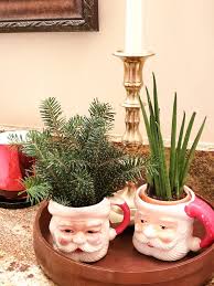 Houseplants And Christmas Can Mix And Mingle Christmas Decorations Christmas Magic Christmas