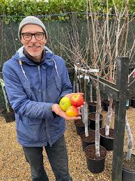 Why buy trees from trees online? Fruit Trees And Bushes Green Pastures Garden Centre