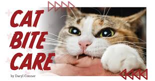 Image result for Cat Bite