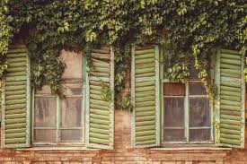 Find over 100+ of the best free wood window images. 70 000 Best Wooden Window Photos 100 Free Download Pexels Stock Photos