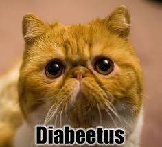 Diabeetus Lolcats N Funny Pictures Of Cats I Can Has Cheezburger Funny Cat Pictures Animal Antics Cats
