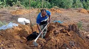 Bibit durian musang king unggul merupakan bibit dari perbanyakan dengan cara okulasi oleh karena itu lebih cepat menghasilkan buah daripada bibit bagi penggemar durian pasti mencari musang king. Cara Tanam Durian Musang King Raja Kunyit Youtube