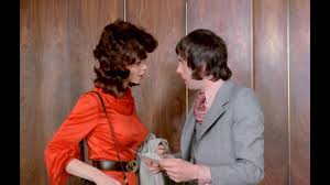 Review | Au Pair Girls aka The Young Playmates (1972) | MovieSteve