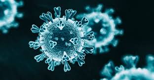 It was first identified in december 2019 in wuhan,. Covid 19 Viral Fragments Found In Canberra Wastewater Mysuru Today