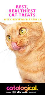 The Best Healthy Cat Treats For Training And Spoiling Cats Kittens Funny Cat Gifts Healthy Cat Treats Cat Parenting