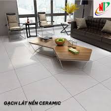 Các mẫu gạch lát nền đẹp giá rẻ