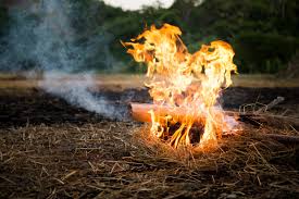 Maybe you would like to learn more about one of these? Pros Cons Of Using Bamboo As Firewood