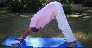 So please help us by uploading 1 new document or like us to download Yoga For Seniors Yoga For Elderly Beginners Yoga Poses For Seniors The Art Of Living India