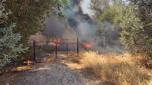 Φωτιά ξέσπασε το μεσημέρι της παρασκευής 2/7 στην κηφισιά. Fwtia Sth Nea Khfisia Bghkan Stis Ayles Oi Katoikoi Gia Na Sbhsoyn Tis Floges Binteo Fwto