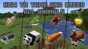 How To Tame And Breed All Animals In Minecraft Youtube Minecraft Projects Minecraft Farm Minecraft Designs