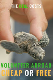 What Does It Really Cost To Volunteer Abroad Travel The World For Free Volunteer Abroad Traveling By Yourself