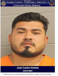 Mark Herman, Harris County Constable Precinct 4