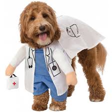 Experienced vets near you in bengaluru. Walking Vet Animal Doctor Dr Pet Dog Cat Halloween Costume Walmart Com Walmart Com