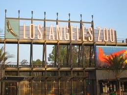Montebello Mom 20 Off Los Angeles Zoo Membership Discount Coupon Promotion Code Los Angeles Zoo California Travel Socal Travel