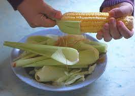 Untuk polnav search nya tidak bisa diketik ya gan? Cara Menyisir Dan Memipil Jagung Yang Tepat Bukareview