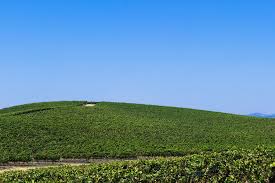 You can save the full screen, the active window, or a rectangular selection to a file or to the clipboard for reuse in another app. Man Finds Exact Location Of Infamous Windows Xp Background