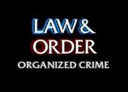 With christopher meloni, danielle moné truitt, tamara taylor, ainsley seiger. Law Order Organized Crime 2021