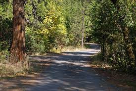 You are currently browsing sims 4 • flat • custom content. Hiking Swimming Camping At Sims Flat Upper Sacramento River Northern California Hiking Trails