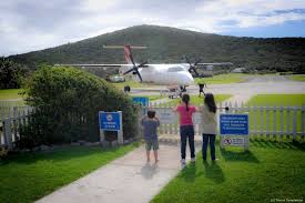 Lord howe island is home to an abundance of colourful marine life and snorkelling is one of the best ways to see it up close. Is Lord Howe Island Worth The Spend The Travel Temple