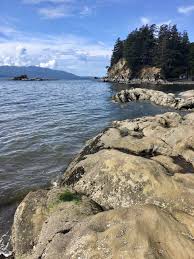 We did not find results for: Larrabee State Park In Bellingham Wa Westward We Wander