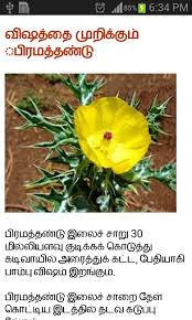 Image result for mooligaigal tamil