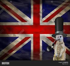 We've got 43+ great wallpaper images. Retro English Concept Of A Funny Elegant Meerkat That Is Wearing A Top Hat Isolated On A Background Image Stock Photo 270399424