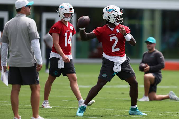 Dolphins reporter shares alarming Malik Willis, Quinn Ewers update