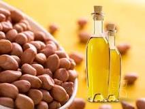 Investing In Groundnut Oil Production Business