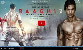 Tiger shroff, disha patani, manoj bajpayee and others. Baaghi 2 2018 Full Movie Watch Online 720p 700mb Free Download