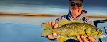 Check out yakima's rack and roll trailer, which is perfect for hauling your fishing kayaks anywhere! Bass Fishing Guide Snake River Grande Ronde River