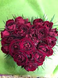 Save with one of our top 1800 flowers coupons for august 2021: Modesto Exotic Flowers Home Facebook