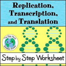 This is just one of the solutions atrnasnwscerripktioeny and btkrieoaynloslgaytion answer. Replication Transcription And Translation Worksheet By The Skye World Science