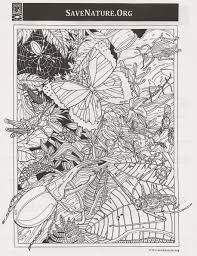 Each page includes the numeric number, the number spelled out, and the corresponding number of animals. Adult Coloring Pages Colorsuki Com