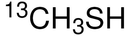 Image result for Methanethiol