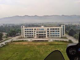 Pin On Berteni Cataluna Causing