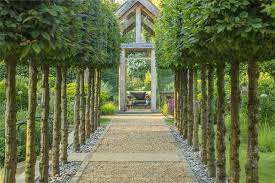 Pin By Ella Karas On Garden Contemporary Garden Design Landscape Design Garden Arches