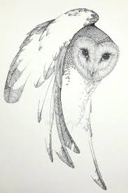 Barn Owl 1 By Peter Parnall Vintage 1972 B W Large 9x12 Etsy Owl Tattoo Drawings Owls Drawing Barn Owl Tattoo